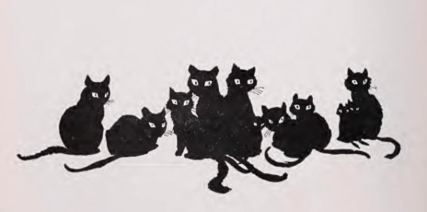 black cats and tinkers wife 060