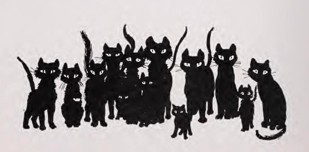 black cats and tinkers wife 052