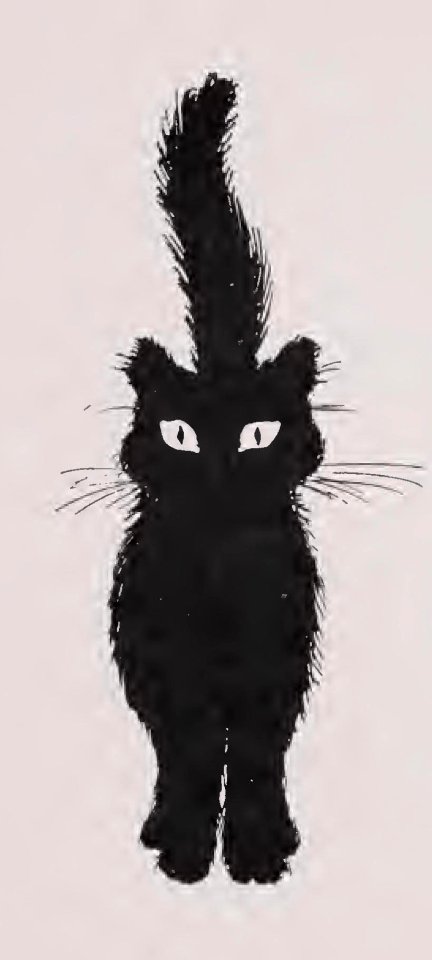 black cats and tinkers wife 006