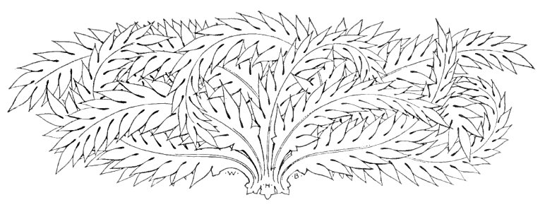 v09 181b