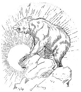 v21 249