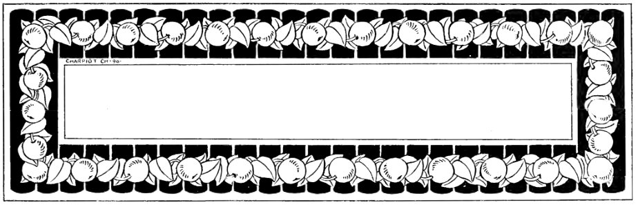 v17 207