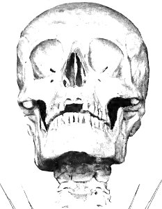 v17 26