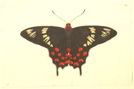 v08 271 Hector