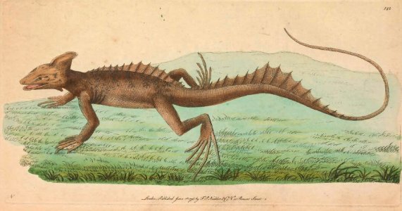 v04 142 Basilisk