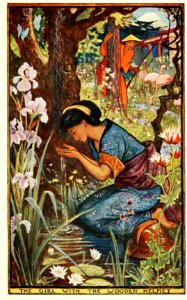 Violet Fairy Book 47