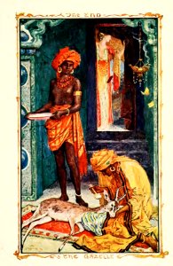 Violet Fairy Book 26