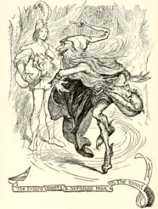 Violet Fairy Book 15