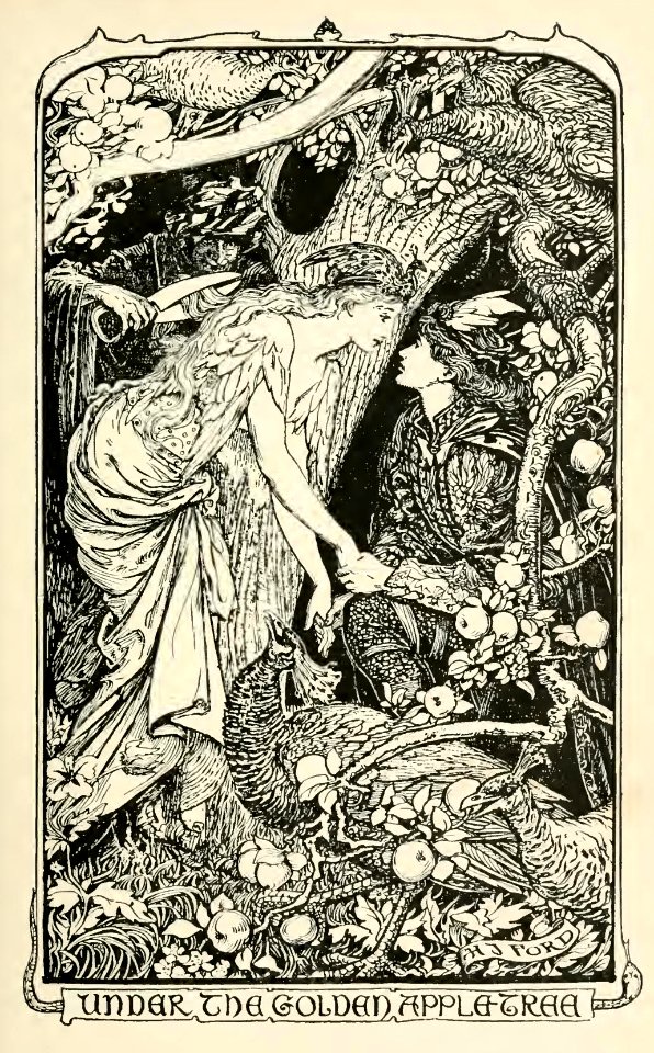 Violet Fairy Book 12