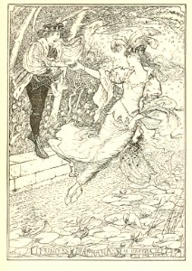 Pink Fairy Book 58