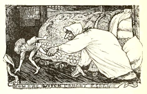 Pink Fairy Book 55