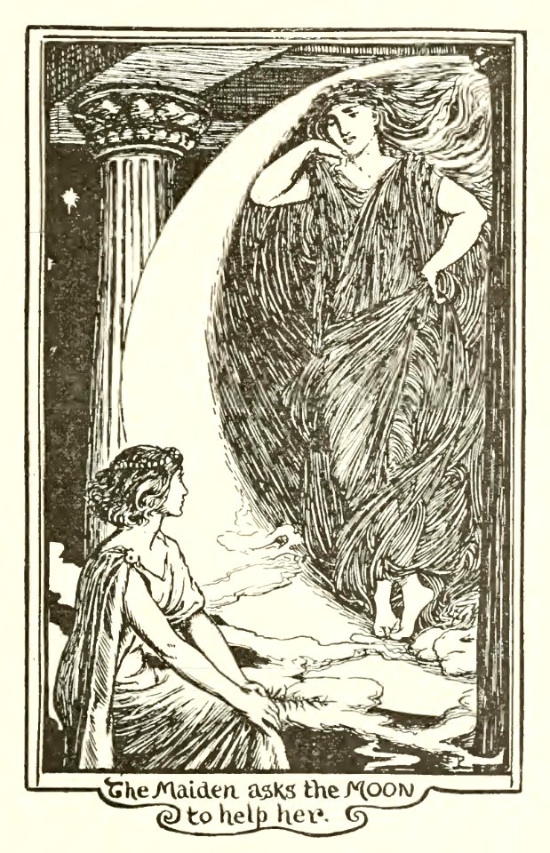 Pink Fairy Book 46