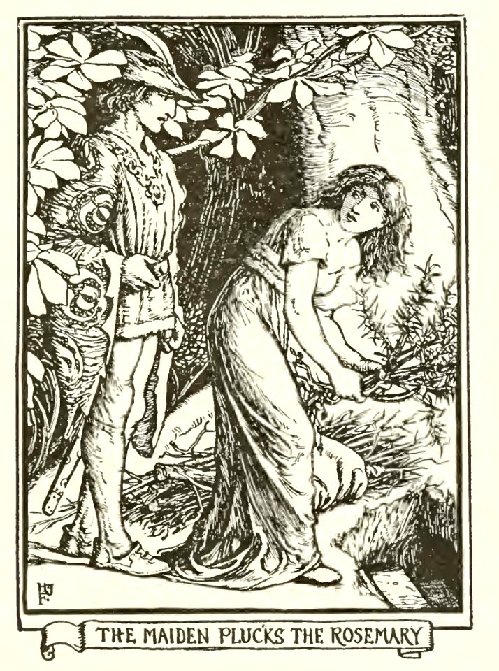 Pink Fairy Book 45