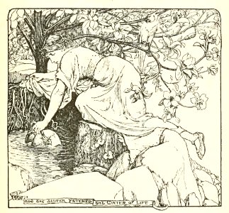 Pink Fairy Book 36