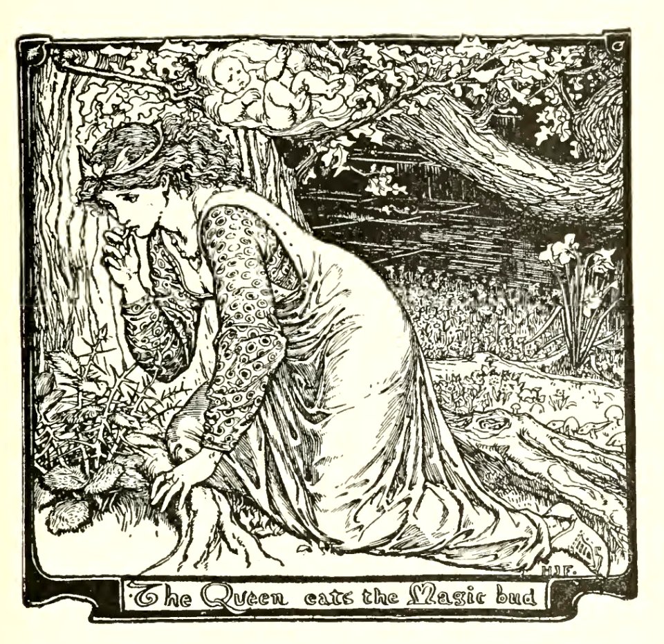 Pink Fairy Book 15