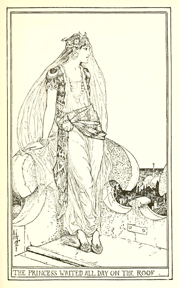Pink Fairy Book 13
