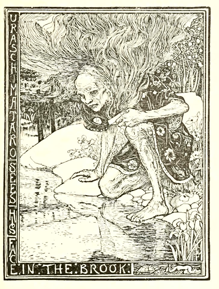 Pink Fairy Book 09