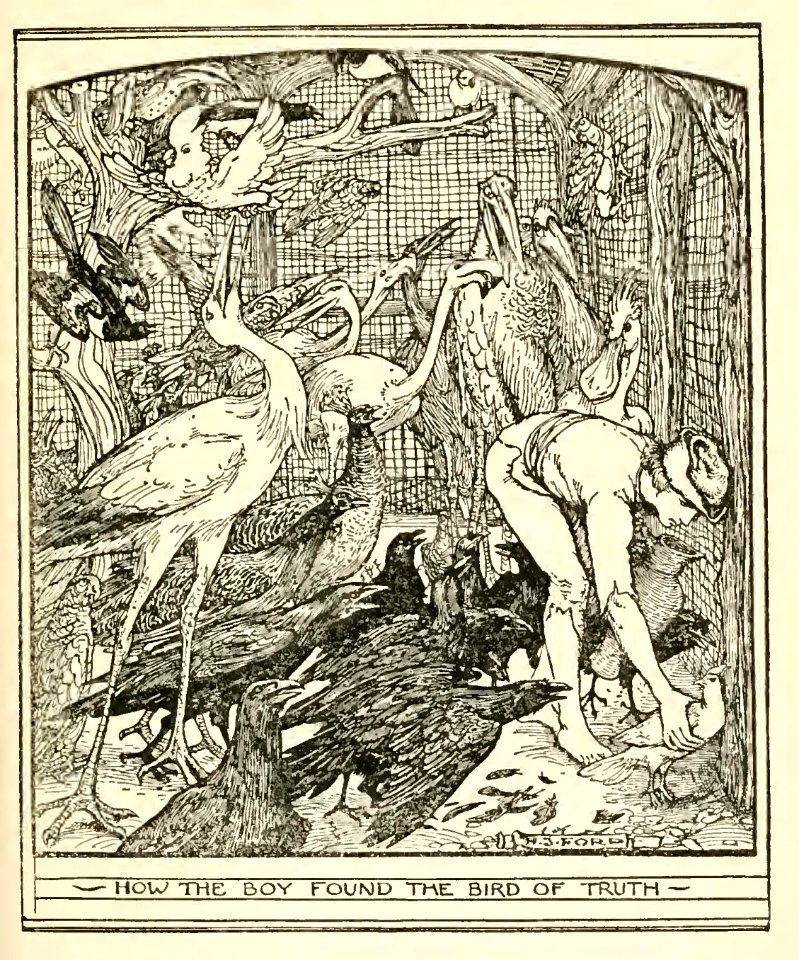 Orange Fairy Book 51