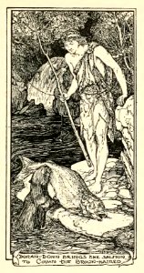 Orange Fairy Book 46
