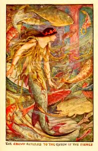 Orange Fairy Book 41