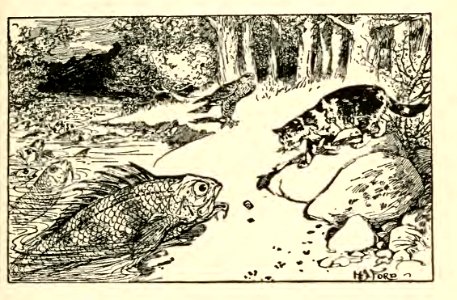 Orange Fairy Book 30