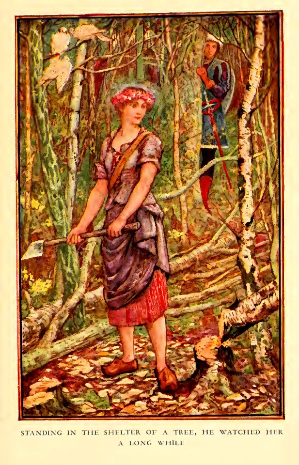 Orange Fairy Book 25