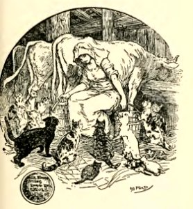 Orange Fairy Book 21