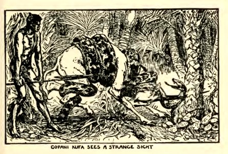 Orange Fairy Book 06