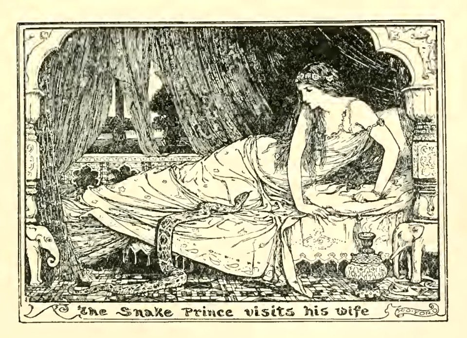 Olive Fairy Book 40