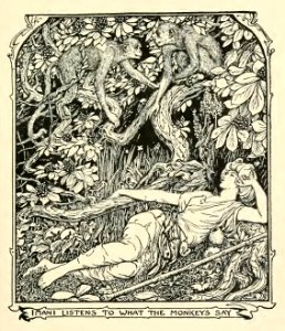 Olive Fairy Book 24