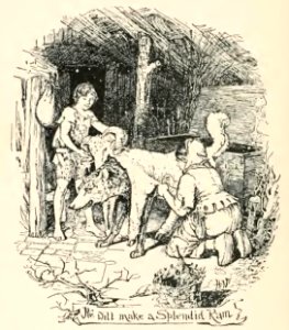 Lilac Fairy Book 21