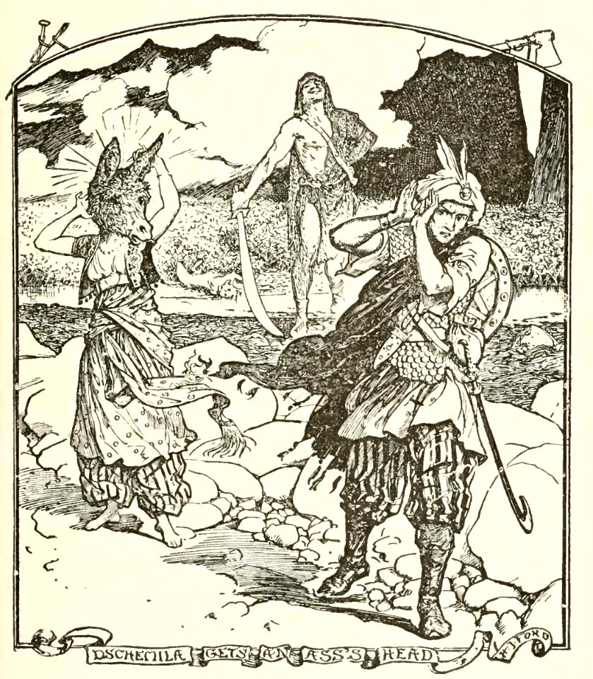 Grey Fairy Book 10