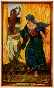 Crimson Fairy Book 40