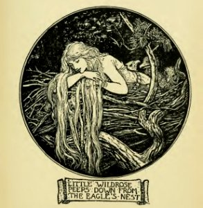 Crimson Fairy Book 19