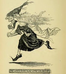 Crimson Fairy Book 20