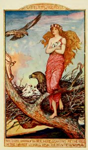 Crimson Fairy Book 17