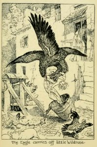 Crimson Fairy Book 16