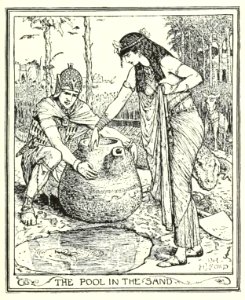 Brown Fairy Book 44