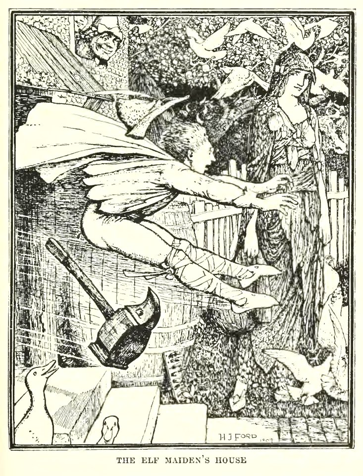 Brown Fairy Book 40
