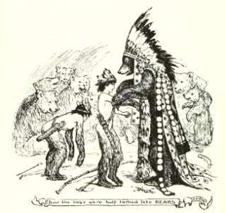 Brown Fairy Book 32