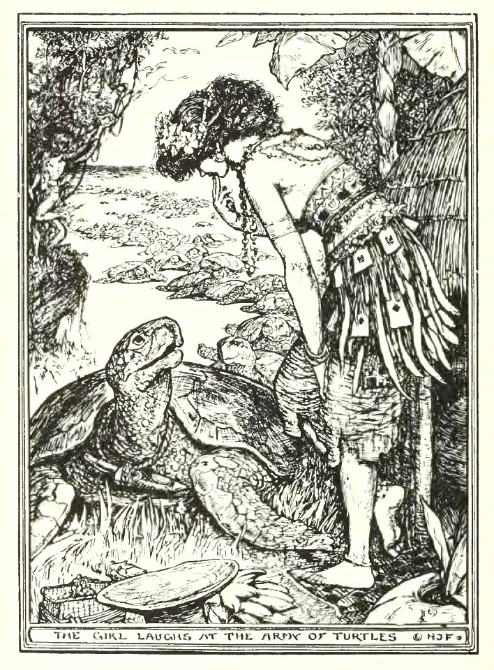 Brown Fairy Book 26