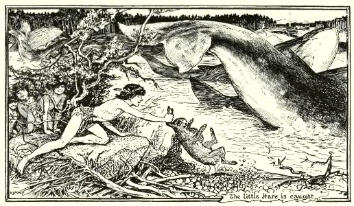 Brown Fairy Book 25