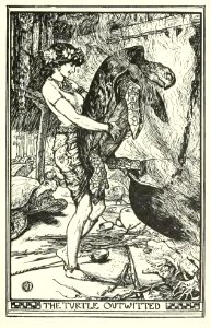 Brown Fairy Book 27