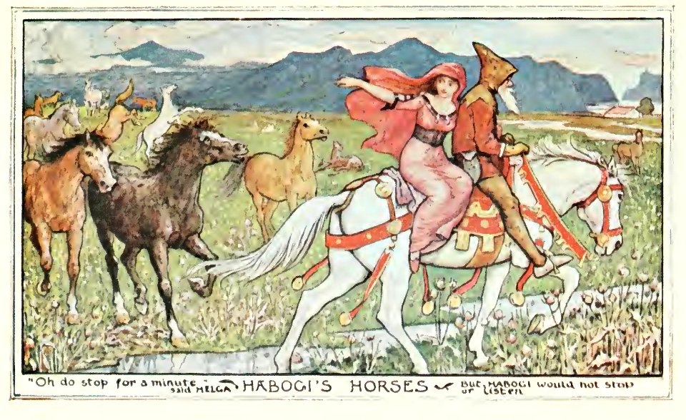Brown Fairy Book 14