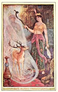 Brown Fairy Book 12