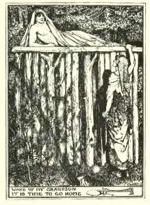Brown Fairy Book 10