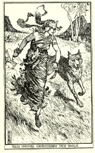 Brown Fairy Book 09