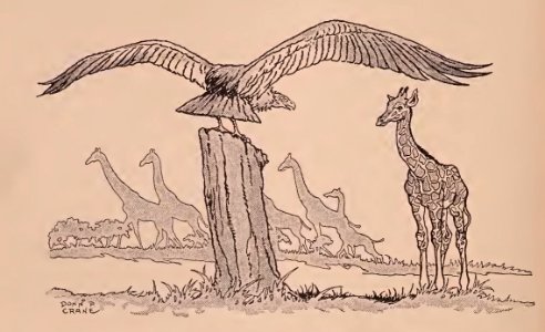 018