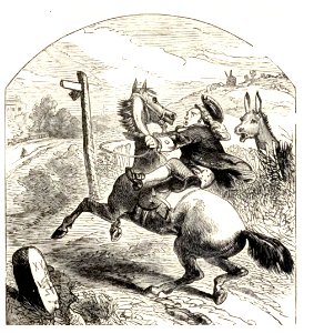 Mother Goose 196