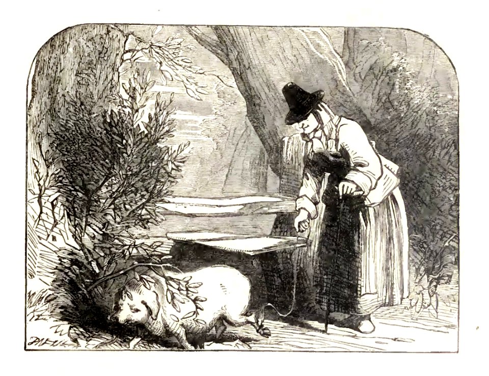 Mother Goose 182